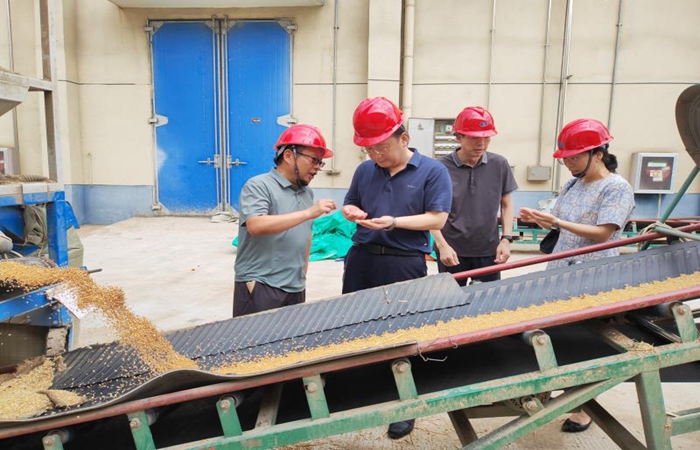 局党组书记、局长蒋超督导省储小麦收购和粮食仓储项目建设工作