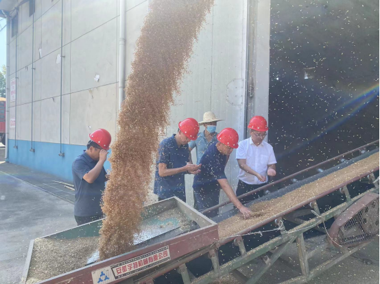 集团公司督导市级西山粮食储备库有限公司储备粮轮入工作