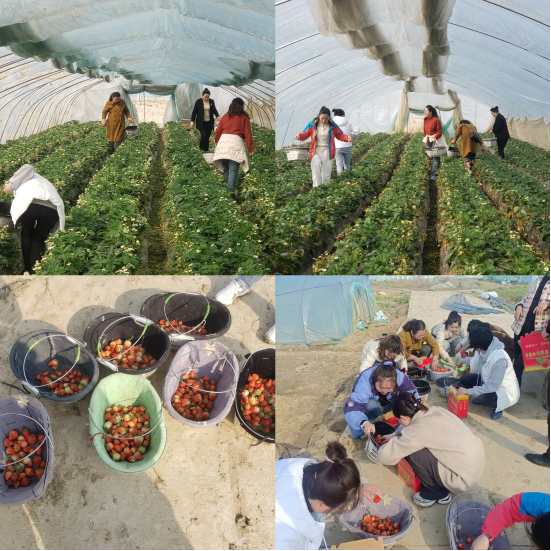 集团工会组织开展“赴春天之约，绽巾帼 芳华”三八妇女节活动