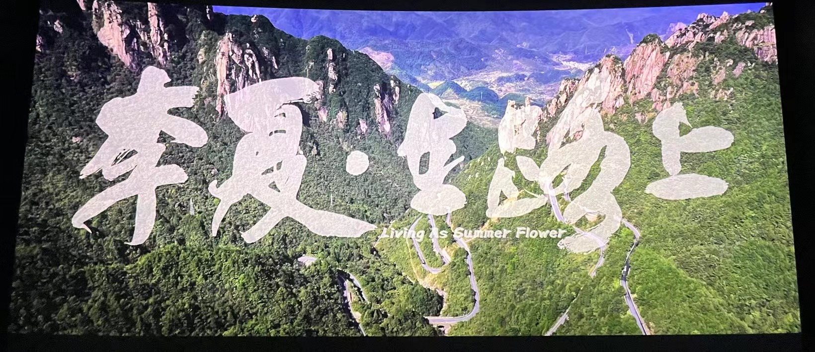 “生如夏花而绚烂”淮粮集团组织员工观影《李夏·在路上》