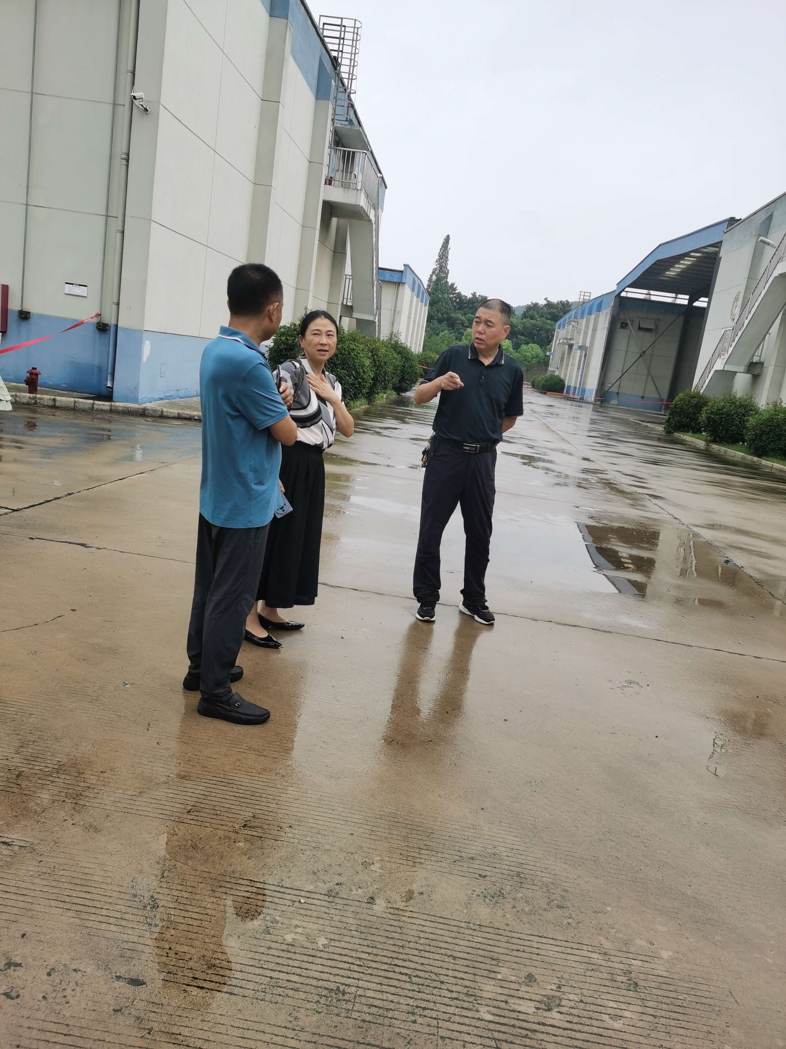 淮粮实业公司积极开展西南地区政策性粮食轮换竞价购销业务