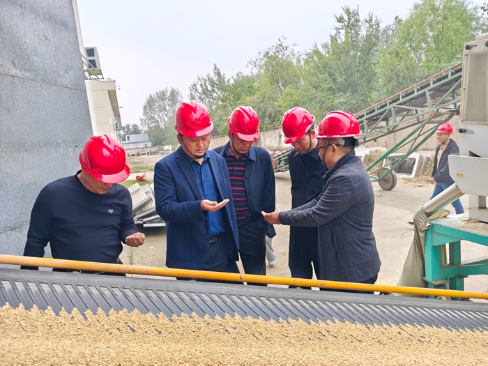 省粮食和储备局到罗山公司督导安全生产工作