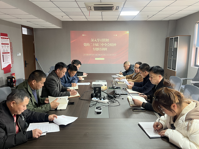 淮南淮粮裕农粮食购销有限公司党支部举办深入学习贯彻二十届三中全会精神专题培训班