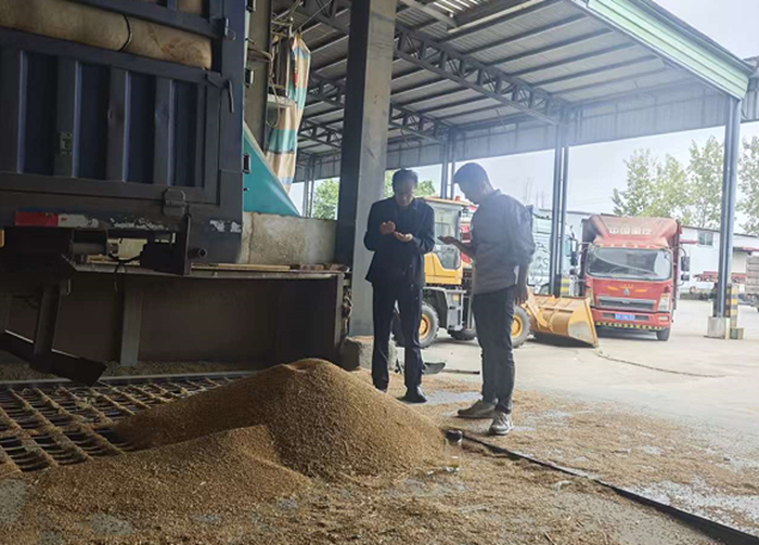 淮粮实业公司调研粮食财务管理工作
