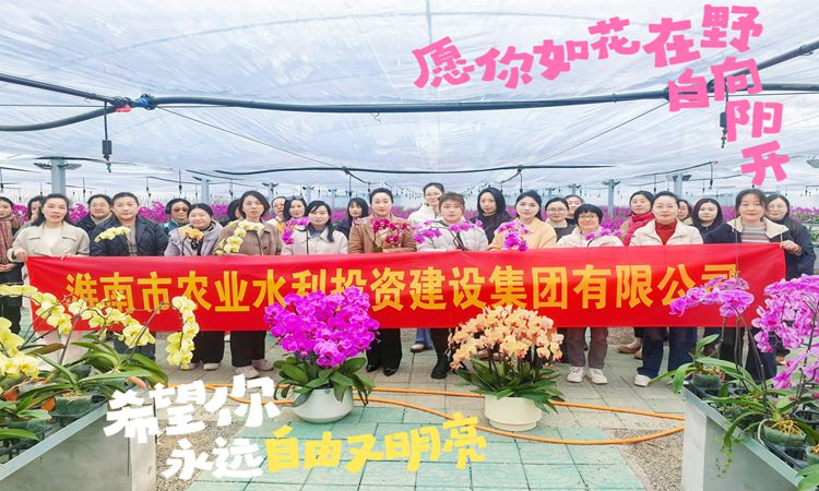 庆“三八”·  绽芳华   走进花卉小镇 探秘蝴蝶兰培育